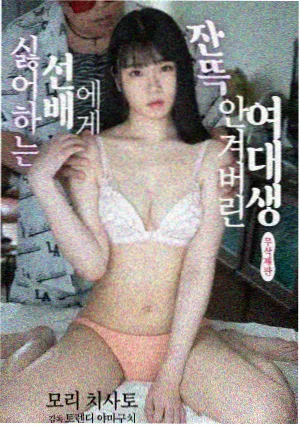 白鹭纪年剧集海报